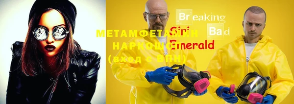 твердый Новозыбков